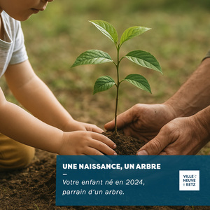 arbreNaissance_202510_villeneuve