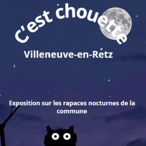 Expo_c'est chouette_09032025