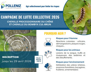 polleniz2026chenilles