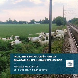 sncf-élevage-animaux-202512_villeneuve