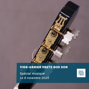 Vide-grenier special musique